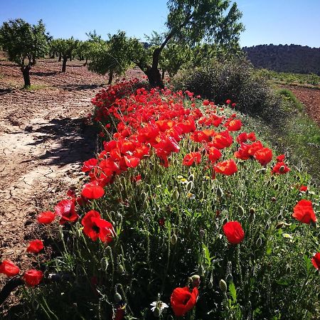 Cortijo Los Soledad El Sauco Eksteriør billede