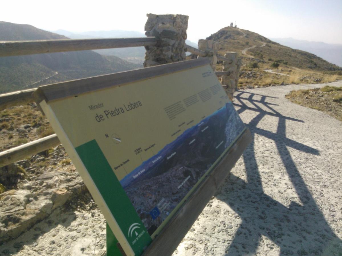 Cortijo Los Soledad El Sauco Eksteriør billede