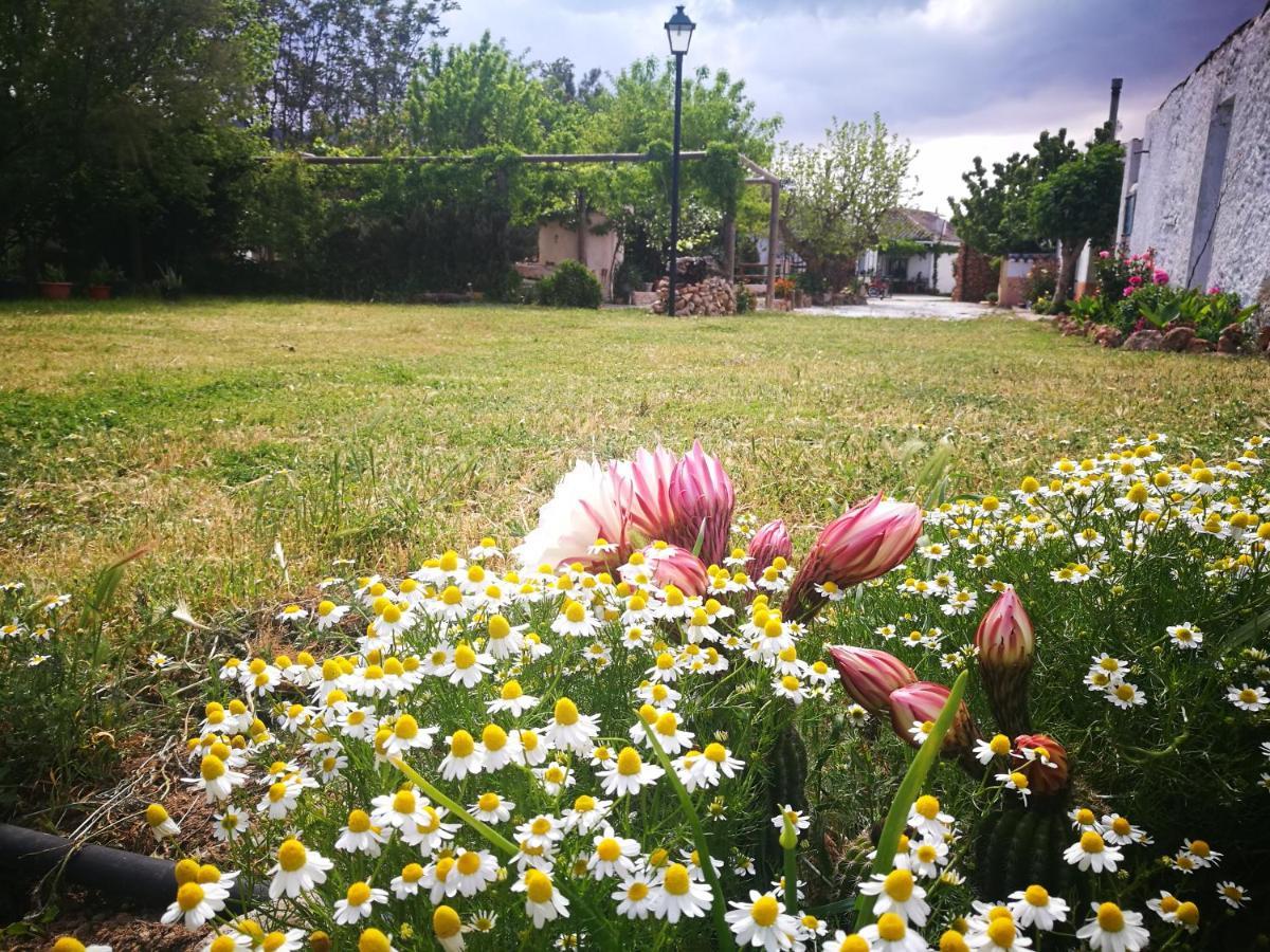 Cortijo Los Soledad El Sauco Eksteriør billede