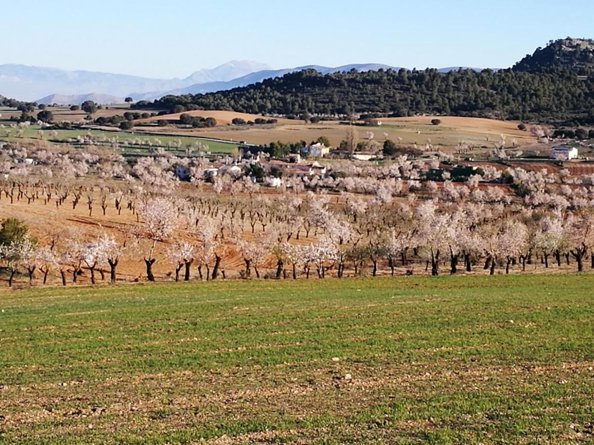 Cortijo Los Soledad El Sauco Eksteriør billede