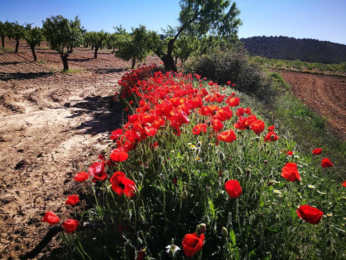 Cortijo Los Soledad El Sauco Eksteriør billede
