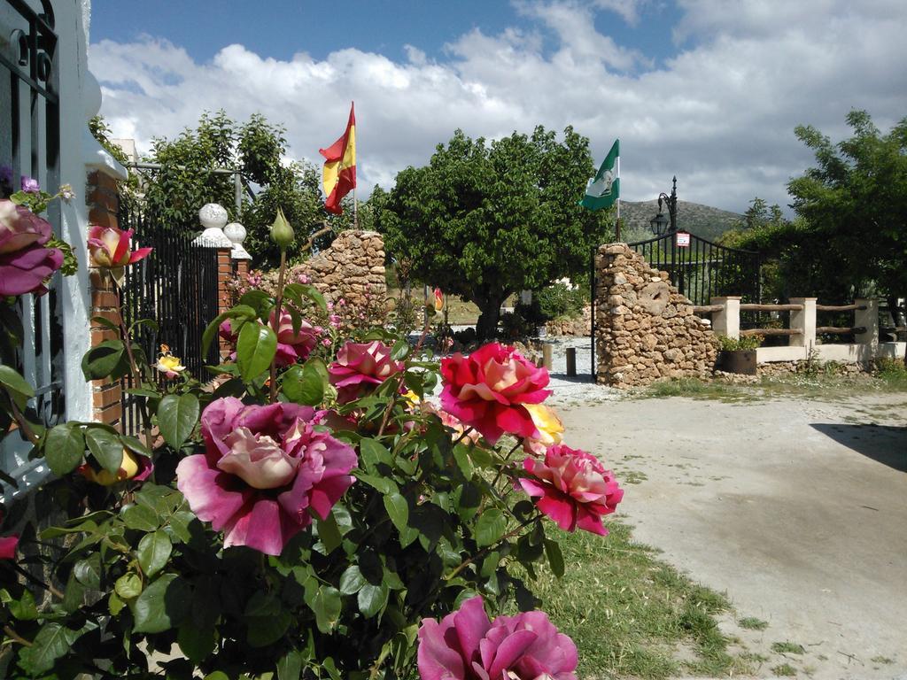 Cortijo Los Soledad El Sauco Eksteriør billede