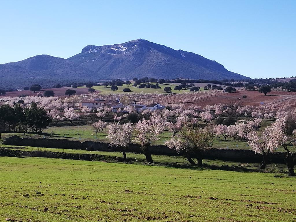 Cortijo Los Soledad El Sauco Eksteriør billede