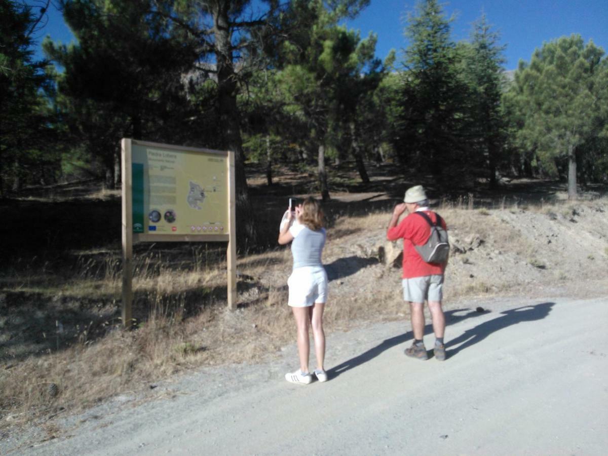 Cortijo Los Soledad El Sauco Eksteriør billede