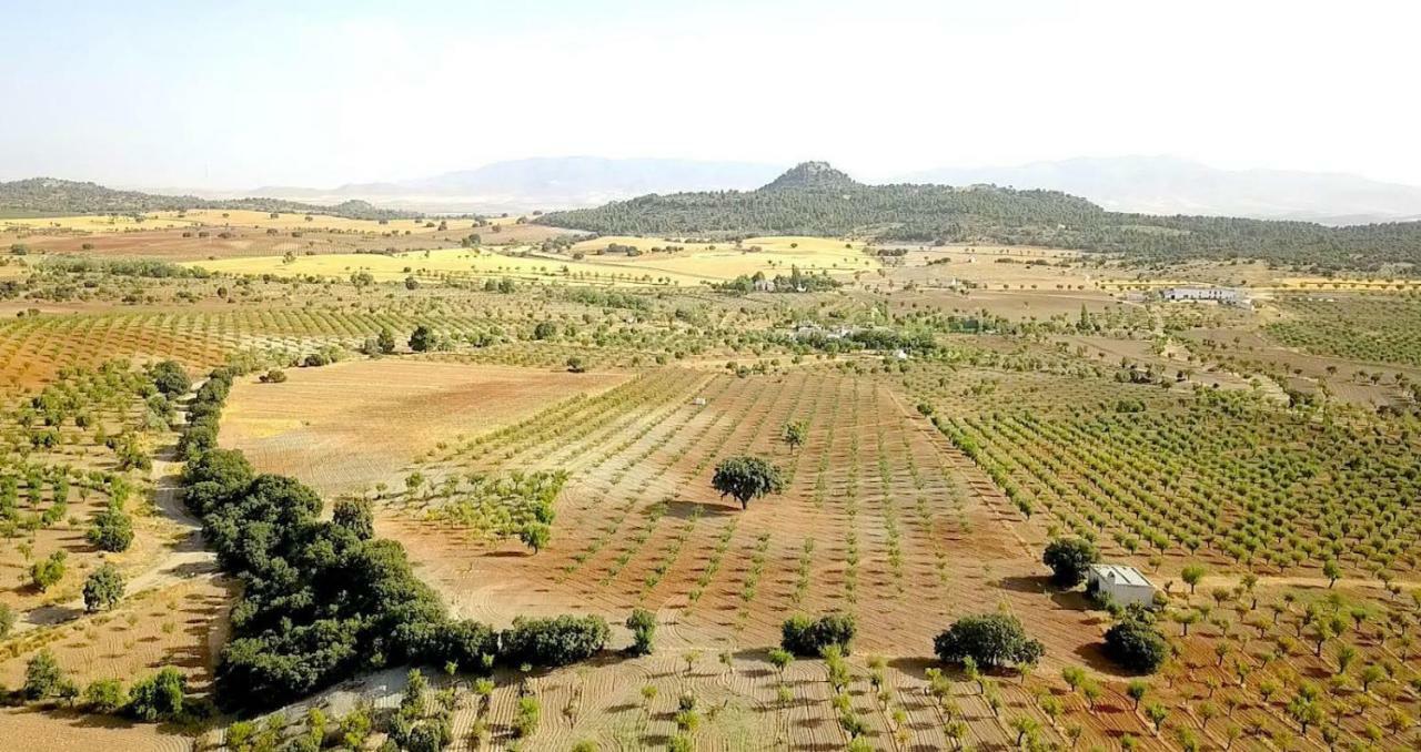 Cortijo Los Soledad El Sauco Eksteriør billede